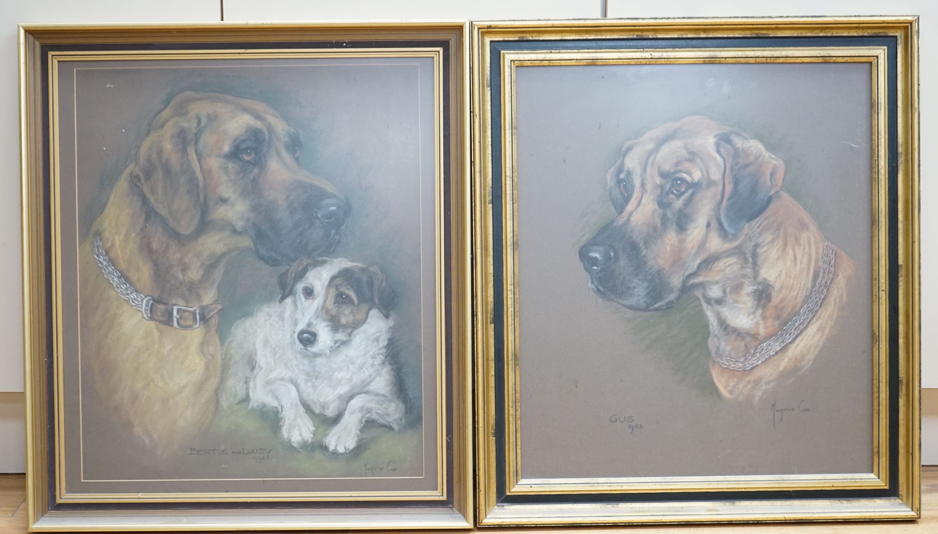 Marjorie Cox (1915-2003), pair of pastels, Portraits of Great Danes and a Terrier, signed and dated 1983/1992, 54 x 46cm